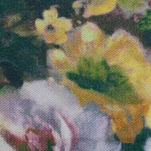 Poťahová látka Print AA3